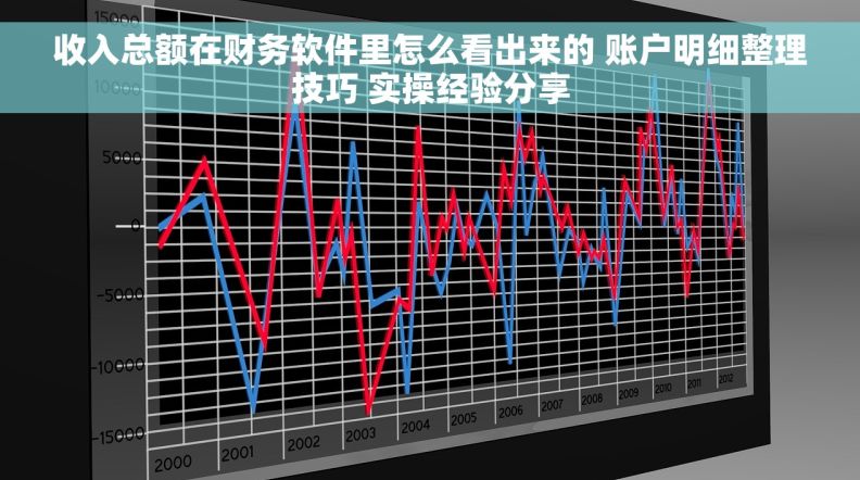 收入总额在财务软件里怎么看出来的 账户明细整理技巧 实操经验分享 收入总额在财务软件里怎么看出来的 账户明细整理技巧 实操经验分享