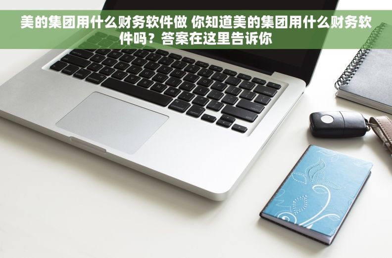 美的集团用什么财务软件做 你知道美的集团用什么财务软件吗？答案在这里告诉你