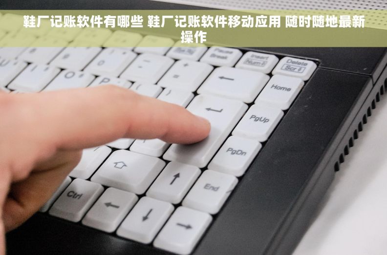 鞋厂记账软件有哪些 鞋厂记账软件移动应用 随时随地最新操作 鞋厂记账软件有哪些 鞋厂记账软件移动应用 随时随地最新操作