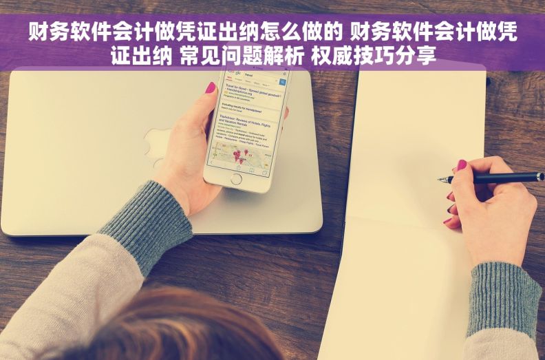 财务软件会计做凭证出纳怎么做的 财务软件会计做凭证出纳 常见问题解析 权威技巧分享