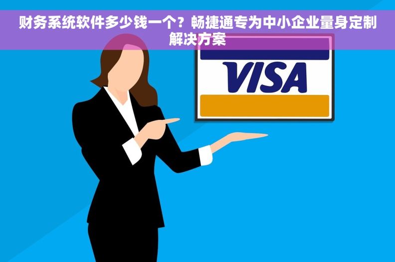 财务系统软件多少钱一个？畅捷通专为中小企业量身定制解决方案