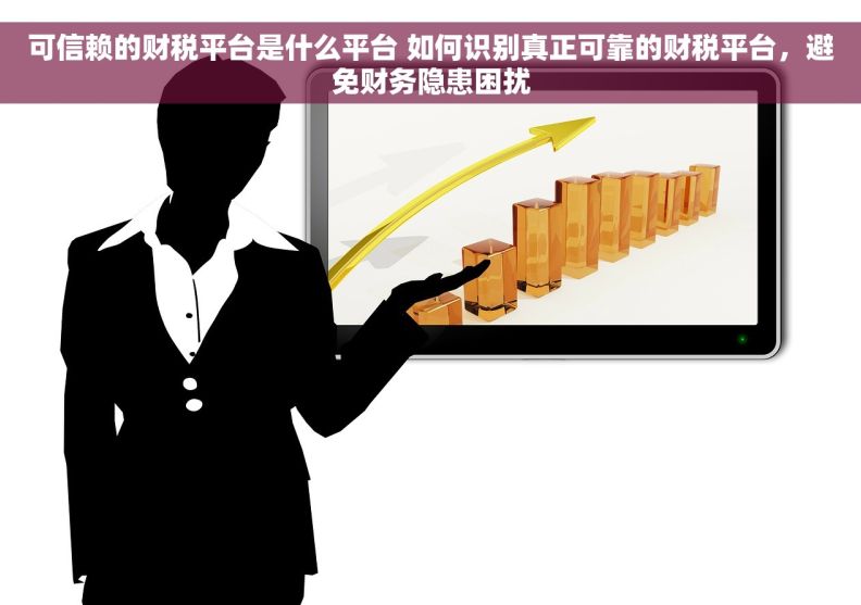 可信赖的财税平台是什么平台 如何识别真正可靠的财税平台，避免财务隐患困扰