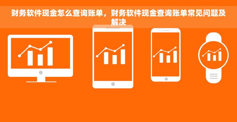 财务软件现金怎么查询账单，财务软件现金查询账单常见问题及解决