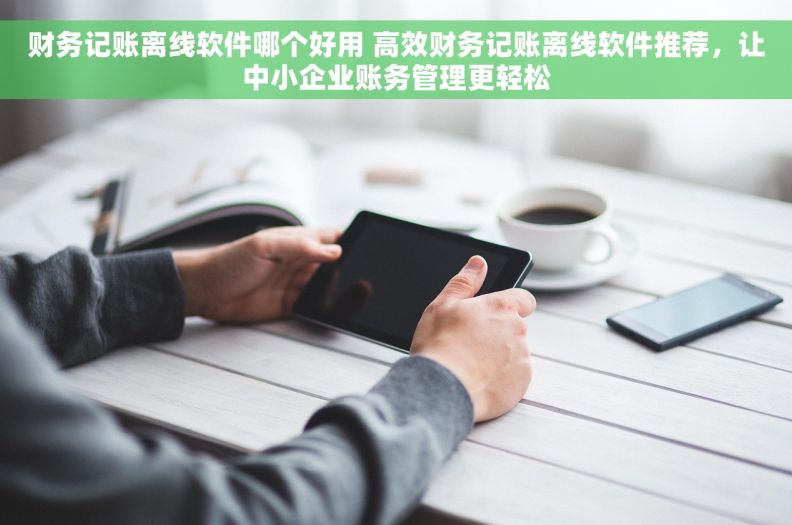 财务记账离线软件哪个好用 高效财务记账离线软件推荐，让中小企业账务管理更轻松