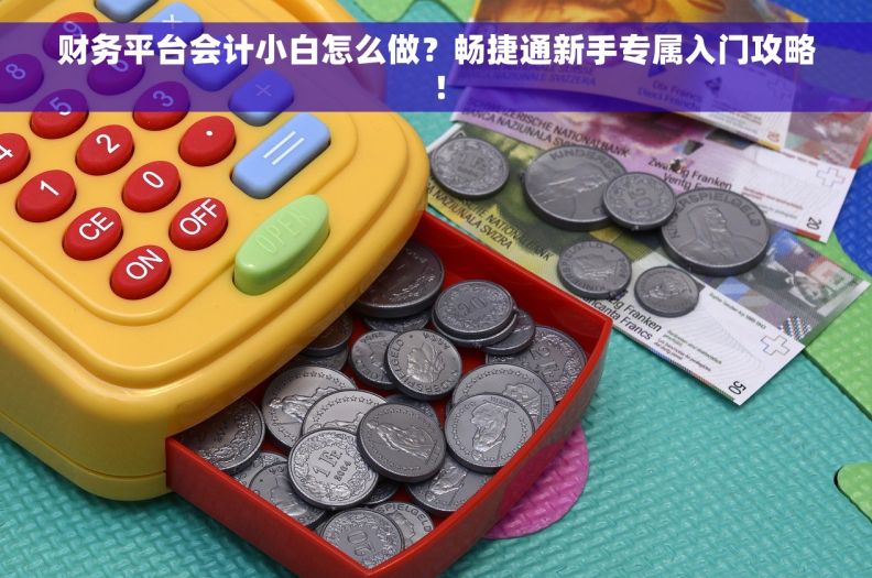 财务平台会计小白怎么做？畅捷通新手专属入门攻略！
