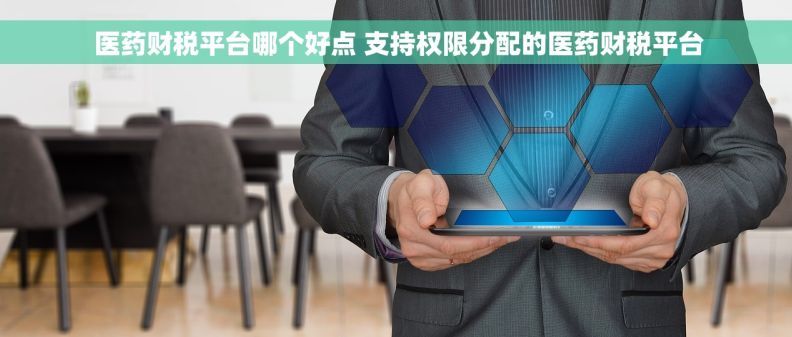  医药财税平台哪个好点 支持权限分配的医药财税平台