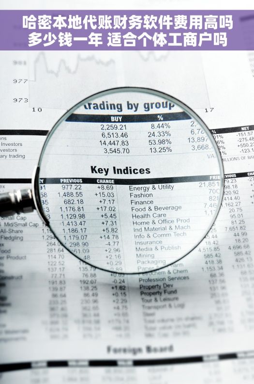 哈密本地代账财务软件费用高吗多少钱一年 适合个体工商户吗