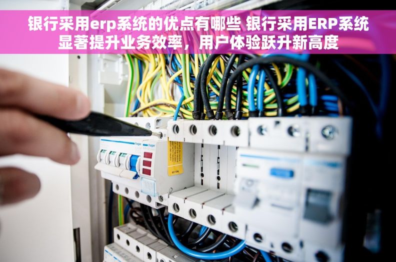 银行采用erp系统的优点有哪些 银行采用ERP系统显著提升业务效率，用户体验跃升新高度