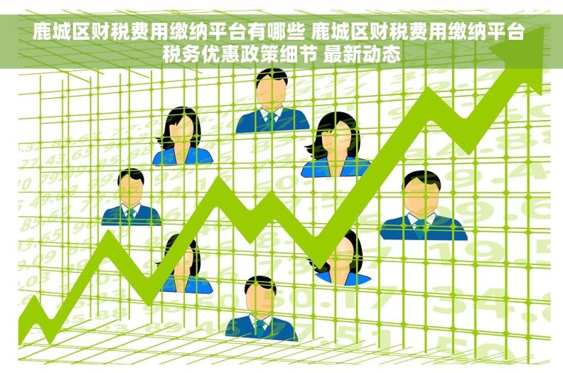 鹿城区财税费用缴纳平台有哪些 鹿城区财税费用缴纳平台 税务优惠政策细节 最新动态