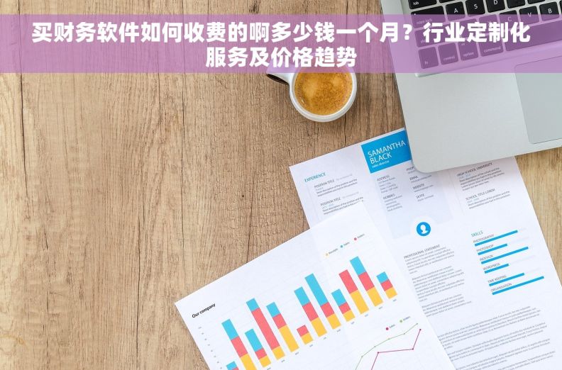 买财务软件如何收费的啊多少钱一个月?行业定制化服务及价格趋势 买财务软件如何收费的啊多少钱一个月?行业定制化服务及价格趋势