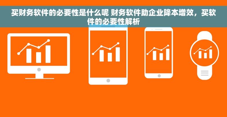 买财务软件的必要性是什么呢 财务软件助企业降本增效,买软件的必要性解析 买财务软件的必要性是什么呢 财务软件助企业降本增效,买软件的必要性解析