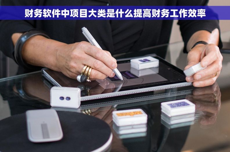 财务软件中项目大类是什么提高财务工作效率