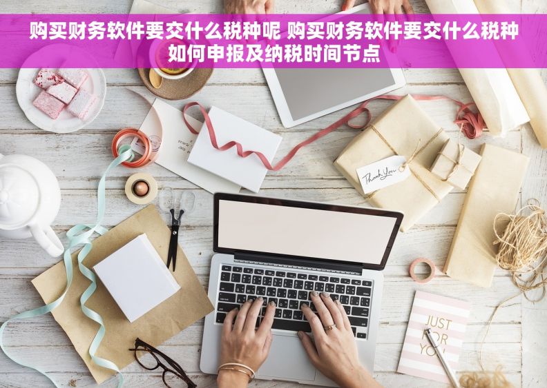 购买财务软件要交什么税种呢 购买财务软件要交什么税种如何申报及纳税时间节点