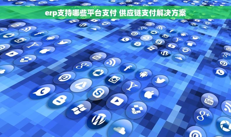 erp支持哪些平台支付 供应链支付解决方案