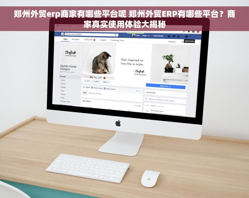 郑州外贸erp商家有哪些平台呢 郑州外贸ERP有哪些平台？商家真实使用体验大揭秘