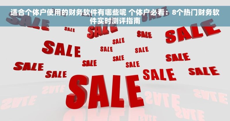 适合个体户使用的财务软件有哪些呢 个体户必看：8个热门财务软件实时测评指南