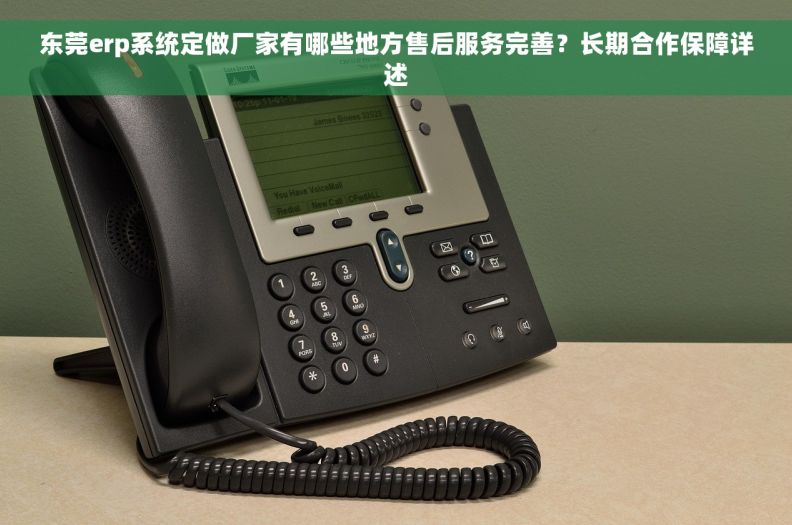 东莞erp系统定做厂家有哪些地方售后服务完善？长期合作保障详述