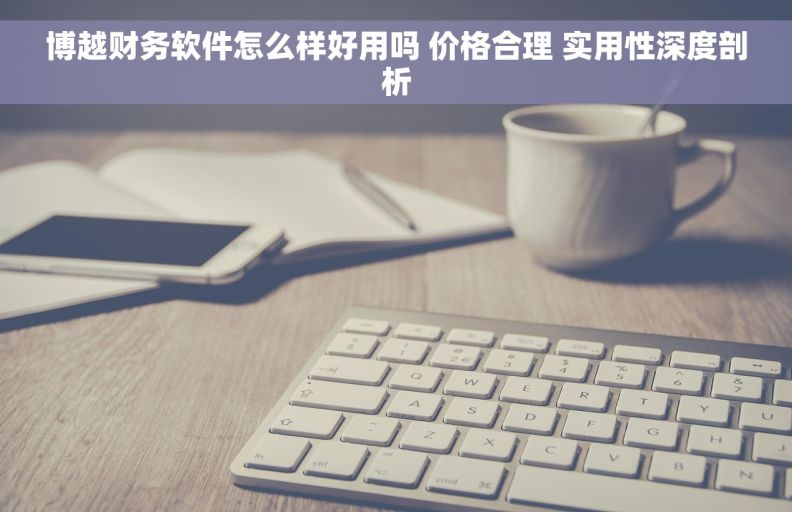 博越财务软件怎么样好用吗 价格合理 实用性深度剖析