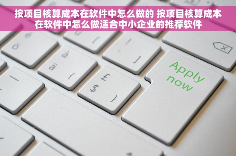 按项目核算成本在软件中怎么做的 按项目核算成本在软件中怎么做适合中小企业的推荐软件