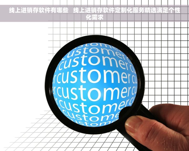 线上进销存软件有哪些   线上进销存软件定制化服务精选满足个性化需求