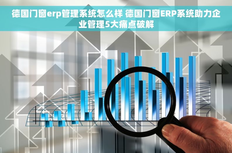 德国门窗erp管理系统怎么样 德国门窗ERP系统助力企业管理5大痛点破解