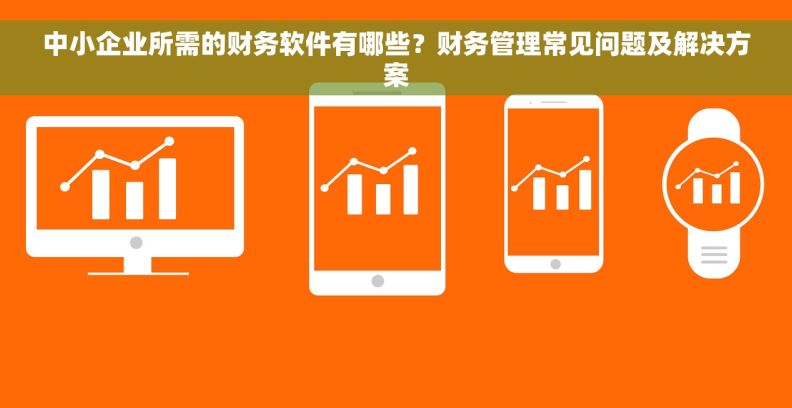 中小企业所需的财务软件有哪些？财务管理常见问题及解决方案