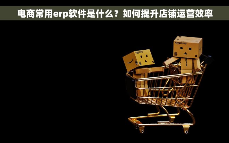电商常用erp软件是什么？如何提升店铺运营效率
