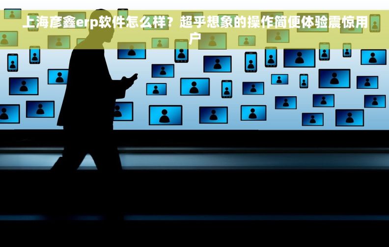 上海彦鑫erp软件怎么样？超乎想象的操作简便体验震惊用户