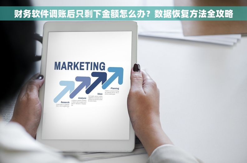 财务软件调账后只剩下金额怎么办？数据恢复方法全攻略