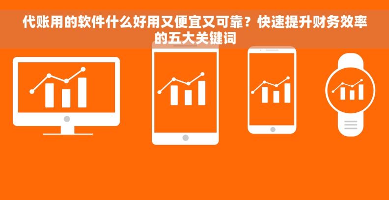 代账用的软件什么好用又便宜又可靠？快速提升财务效率的五大关键词
