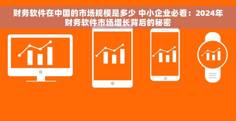 财务软件在中国的市场规模是多少 中小企业必看：2024年财务软件市场增长背后的秘密