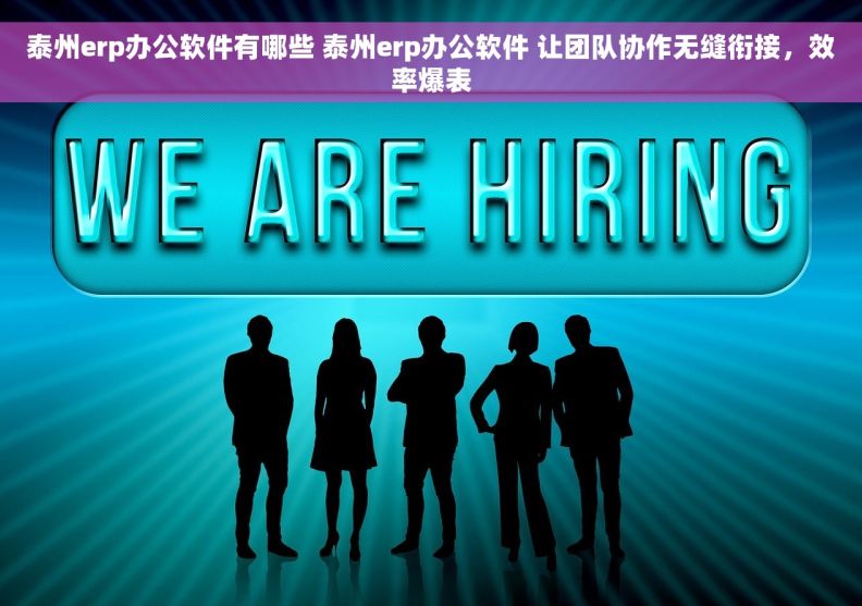 泰州erp办公软件有哪些 泰州erp办公软件 让团队协作无缝衔接，效率爆表