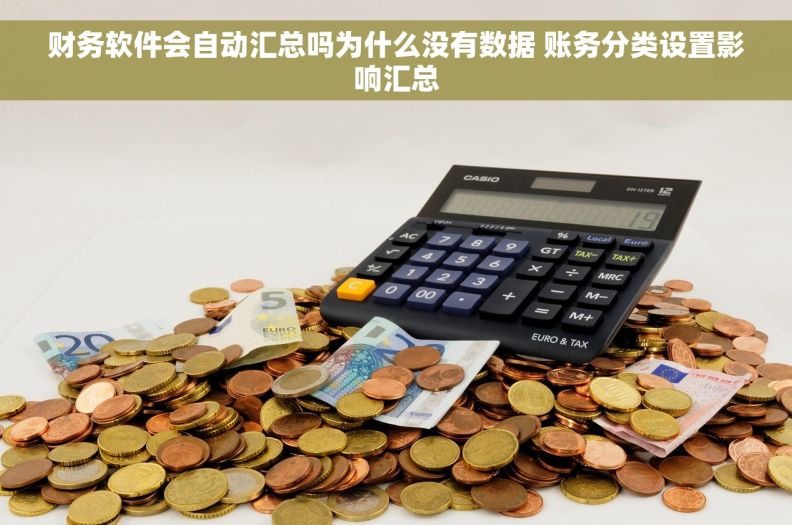 财务软件会自动汇总吗为什么没有数据 账务分类设置影响汇总