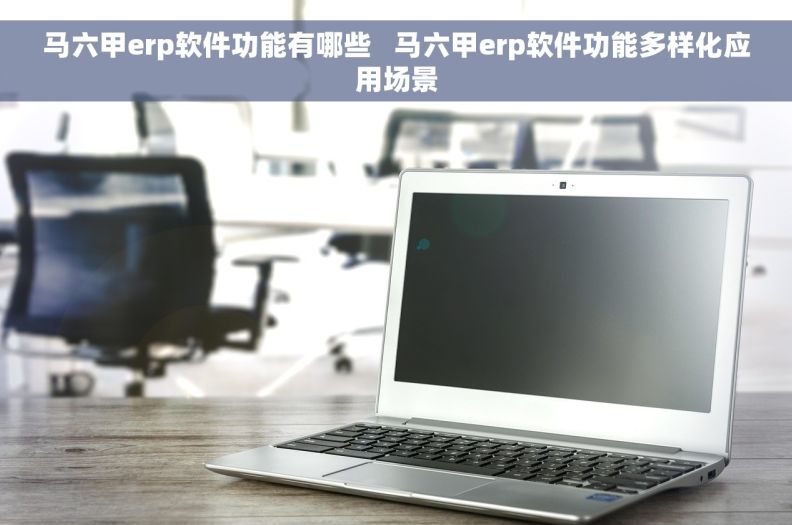马六甲erp软件功能有哪些   马六甲erp软件功能多样化应用场景