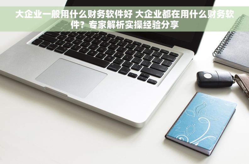 大企业一般用什么财务软件好 大企业都在用什么财务软件？专家解析实操经验分享