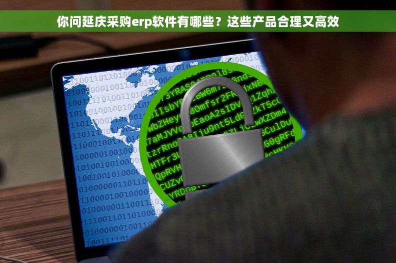 你问延庆采购erp软件有哪些？这些产品合理又高效