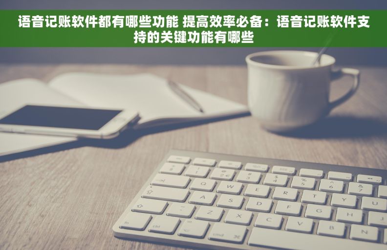 语音记账软件都有哪些功能 提高效率必备：语音记账软件支持的关键功能有哪些