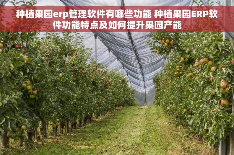 种植果园erp管理软件有哪些功能 种植果园ERP软件功能特点及如何提升果园产能