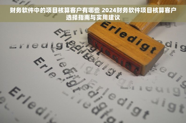 财务软件中的项目核算客户有哪些 2024财务软件项目核算客户选择指南与实用建议