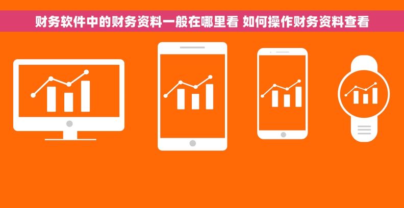 财务软件中的财务资料一般在哪里看 如何操作财务资料查看