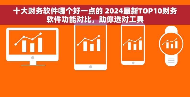 十大财务软件哪个好一点的 2024最新TOP10财务软件功能对比，助你选对工具