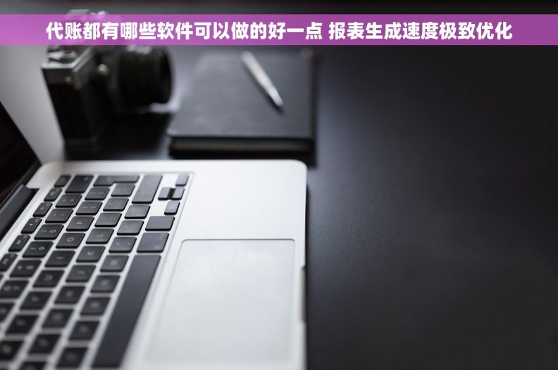 代账都有哪些软件可以做的好一点 报表生成速度极致优化