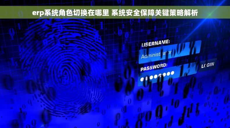 erp系统角色切换在哪里 系统安全保障关键策略解析