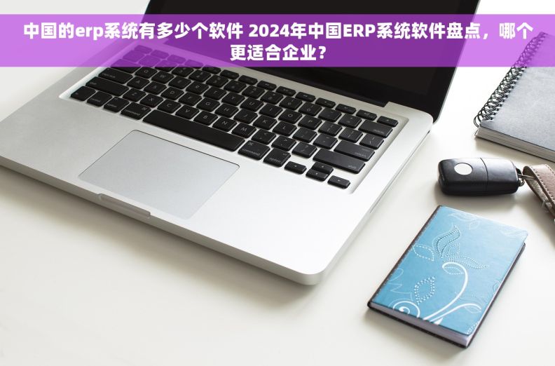 中国的erp系统有多少个软件 2024年中国ERP系统软件盘点，哪个更适合企业？