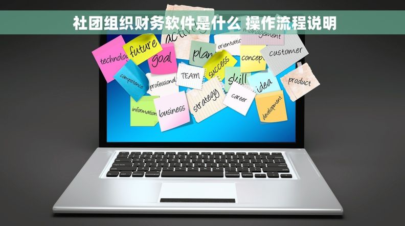  社团组织财务软件是什么 操作流程说明