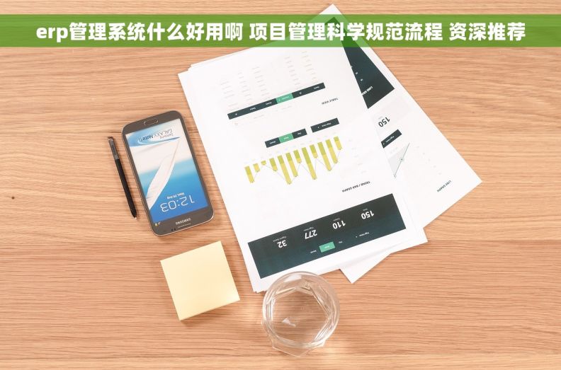 erp管理系统什么好用啊 项目管理科学规范流程 资深推荐