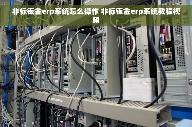 非标钣金erp系统怎么操作 非标钣金erp系统教程视频