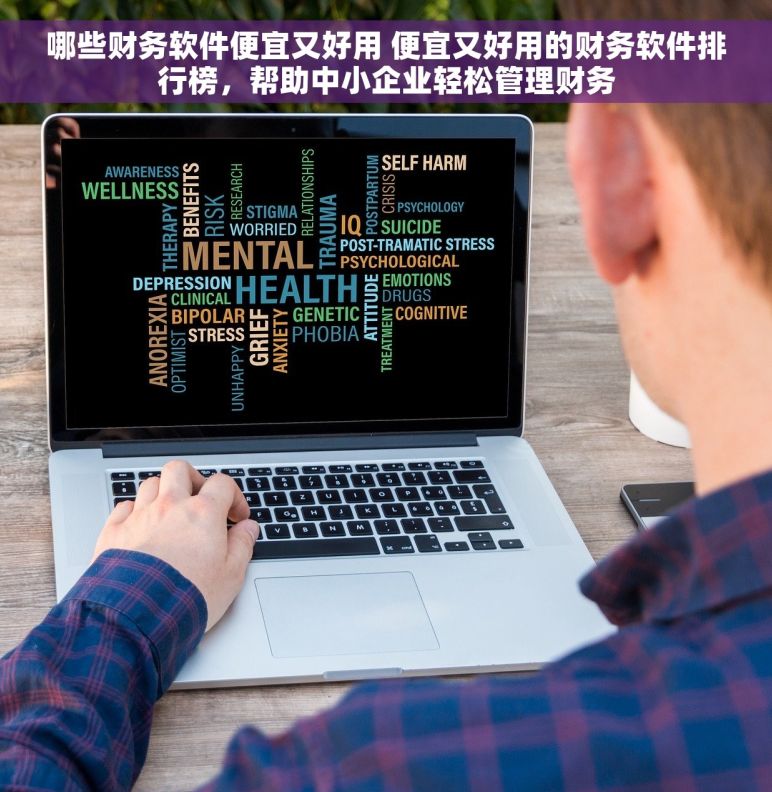 哪些财务软件便宜又好用 便宜又好用的财务软件排行榜，帮助中小企业轻松管理财务