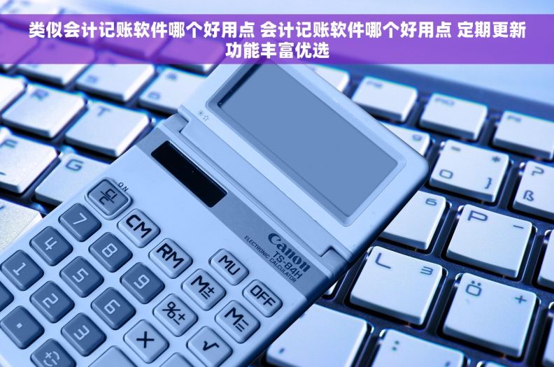 类似会计记账软件哪个好用点 会计记账软件哪个好用点 定期更新功能丰富优选