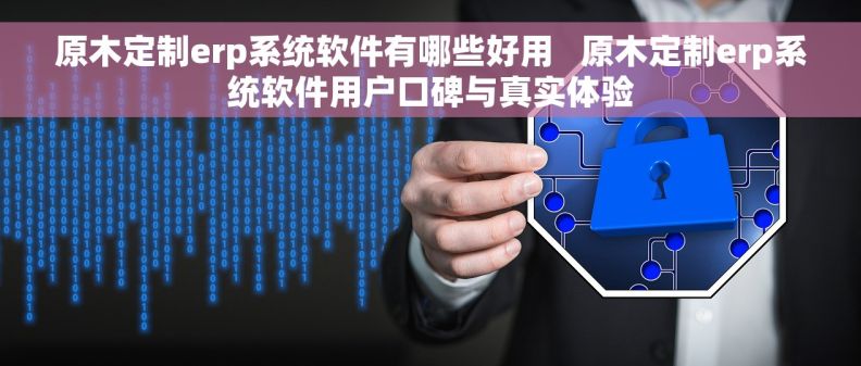 原木定制erp系统软件有哪些好用   原木定制erp系统软件用户口碑与真实体验